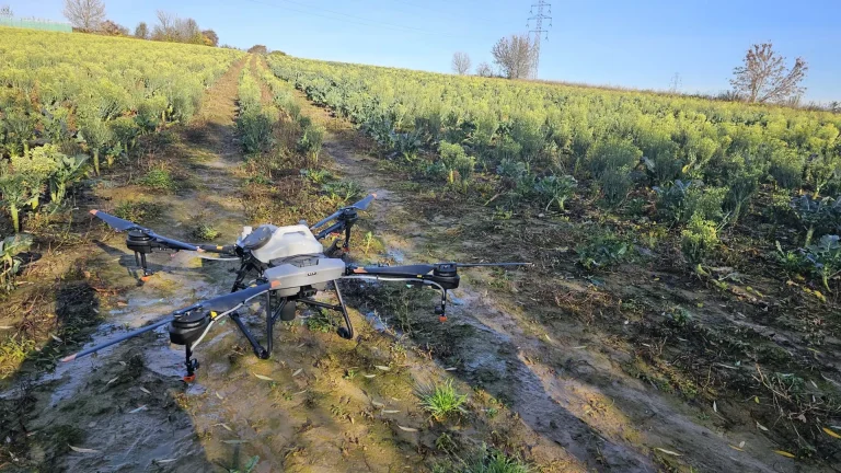 Opryski dronem