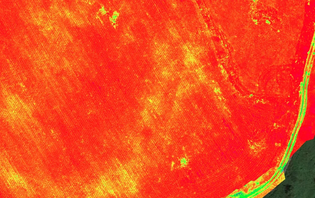 Mapa wigoru roślin z nalotu multispektralnego